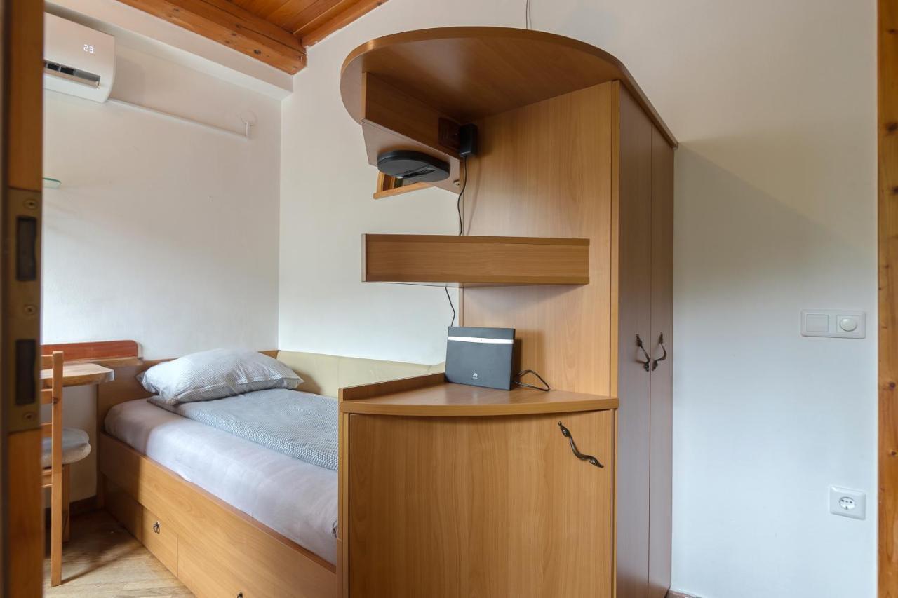 Cozy, Bright And Affordable Single Studio - Free Parking Любляна Екстериор снимка